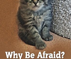 Book Review: Why be Afraid? A Retreat